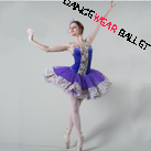 Professional Fairy Flowers Performance Dance Ballet Tutu Costume