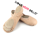 Professional Reinforced Sole Deluxe Dance Shoes Ballet Slipper